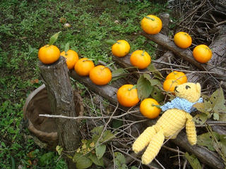 1201DSC01448.jpg