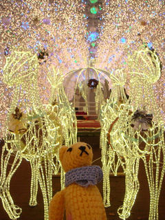 1204DSC01595.jpg