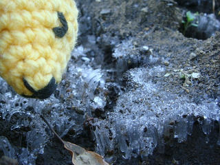 1207DSC01657.jpg
