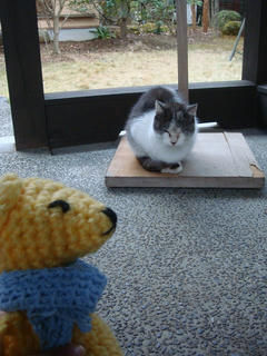 1208DSC01522.jpg