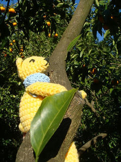 1210DSC01664.jpg