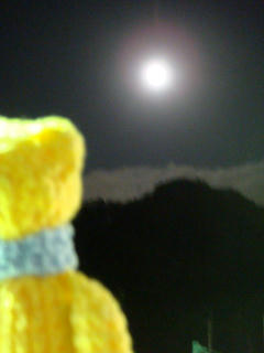 1211DSC01682.jpg