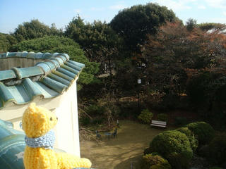 1215DSC01726.jpg
