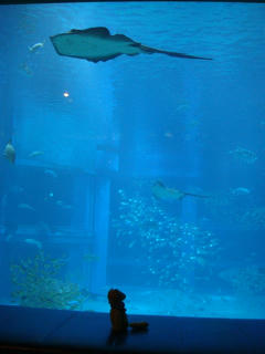 1218DSC02150.jpg