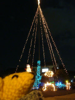1225DSC01688.jpg