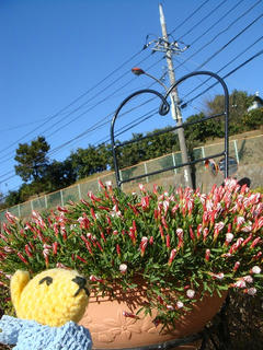 1226DSC02365.jpg