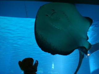 k2sDSC02113.jpg