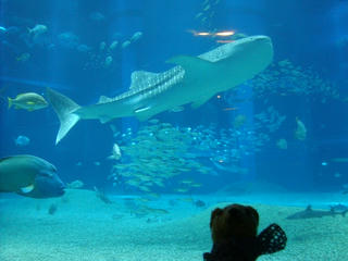 k5sDSC02169.jpg