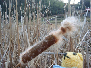 0108DSC02957.jpg
