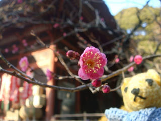 0113DSC02891.jpg