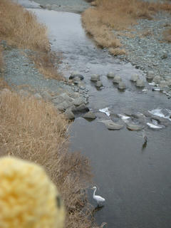 0121DSC03063.jpg