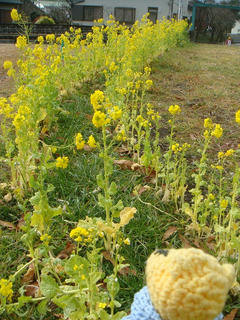 0123DSC03074.jpg