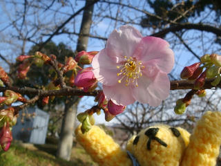 0129DSC03104.jpg