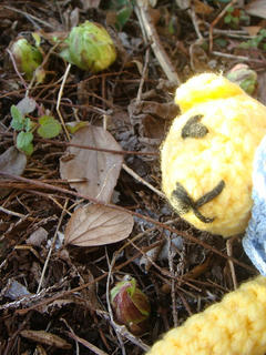 0201DSC03184.jpg