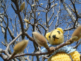 0206DSC03101.jpg