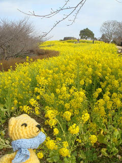 0207DSC03258.jpg