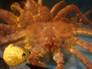 0218DSC03377.jpg