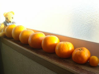 0220DSC03296.jpg