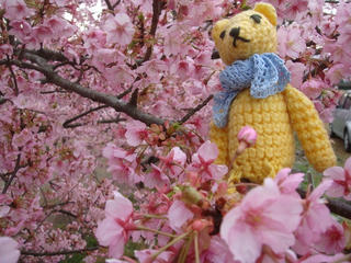 0223DSC03393.jpg