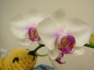 0226DSC03380.jpg
