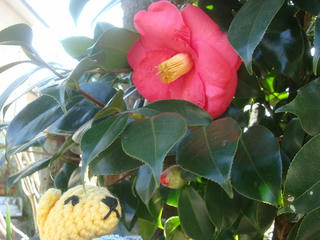 0306DSC03444.jpg