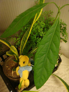 0308DSC03520.jpg