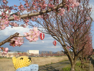 0311DSC03533.jpg