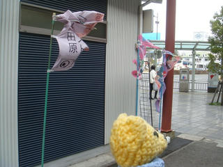 0313DSC03597.jpg