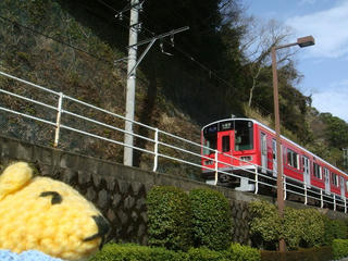 0314DSC03600.jpg