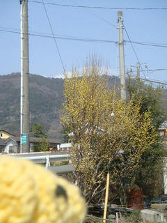 0319DSC03623.jpg