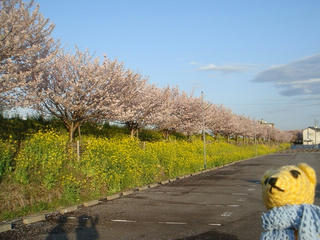 0320DSC03650.jpg