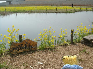 0327DSC03705.jpg
