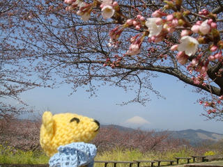 0403-1DSC03785.jpg