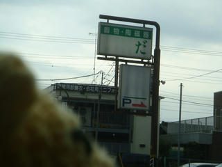 0404DSC03720.jpg