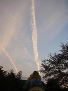0405DSC03811.jpg