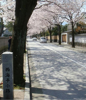 0406DSC03819-1.jpg