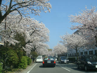 0406DSC03843.jpg
