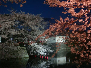 0406DSC03856.jpg