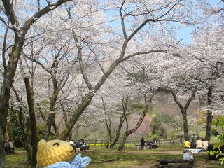 0408DSC03866.jpg
