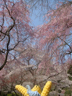 0408-1DSC03913.jpg