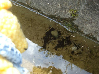 0409DSC03708.jpg
