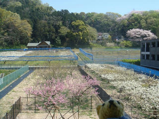 0410DSC04004.jpg