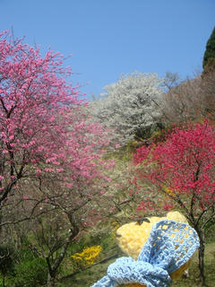 0411-1DSC04012.jpg