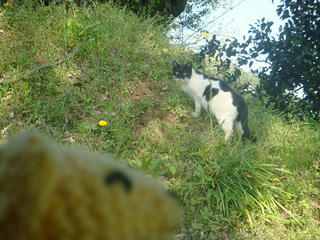 0413DSC04065.jpg