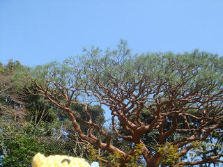 0415DSC03842.jpg