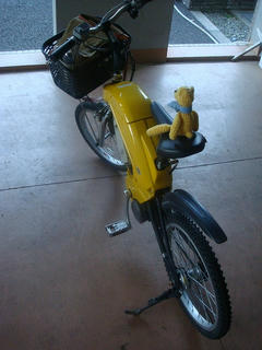 0503DSC04201.jpg