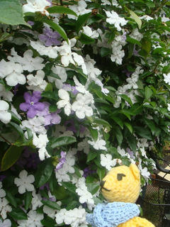 0516DSC04784.jpg