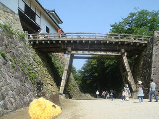 6bd973d2.jpg