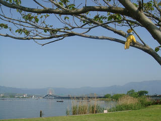 00DSC04637s.jpg
