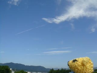 0519DSC04883.jpg